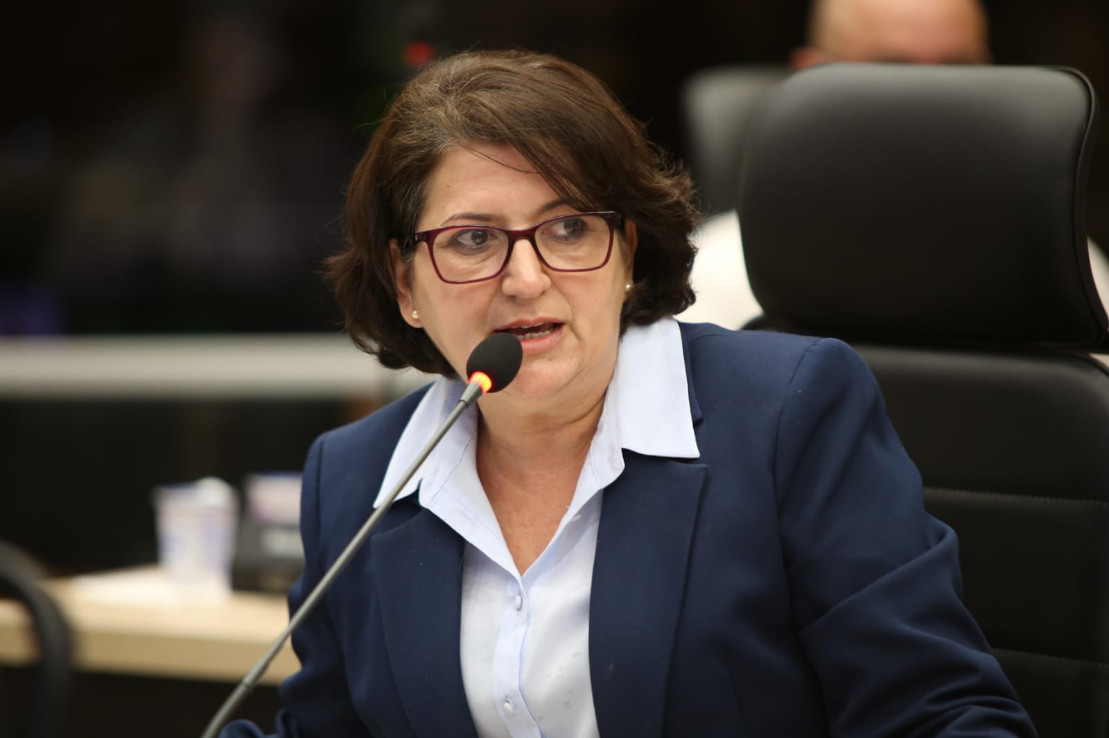Lenir de Assis destaca Dia Estadual de Combate ao Feminicídio e reforça defesa da vida das mulheres no Paraná
