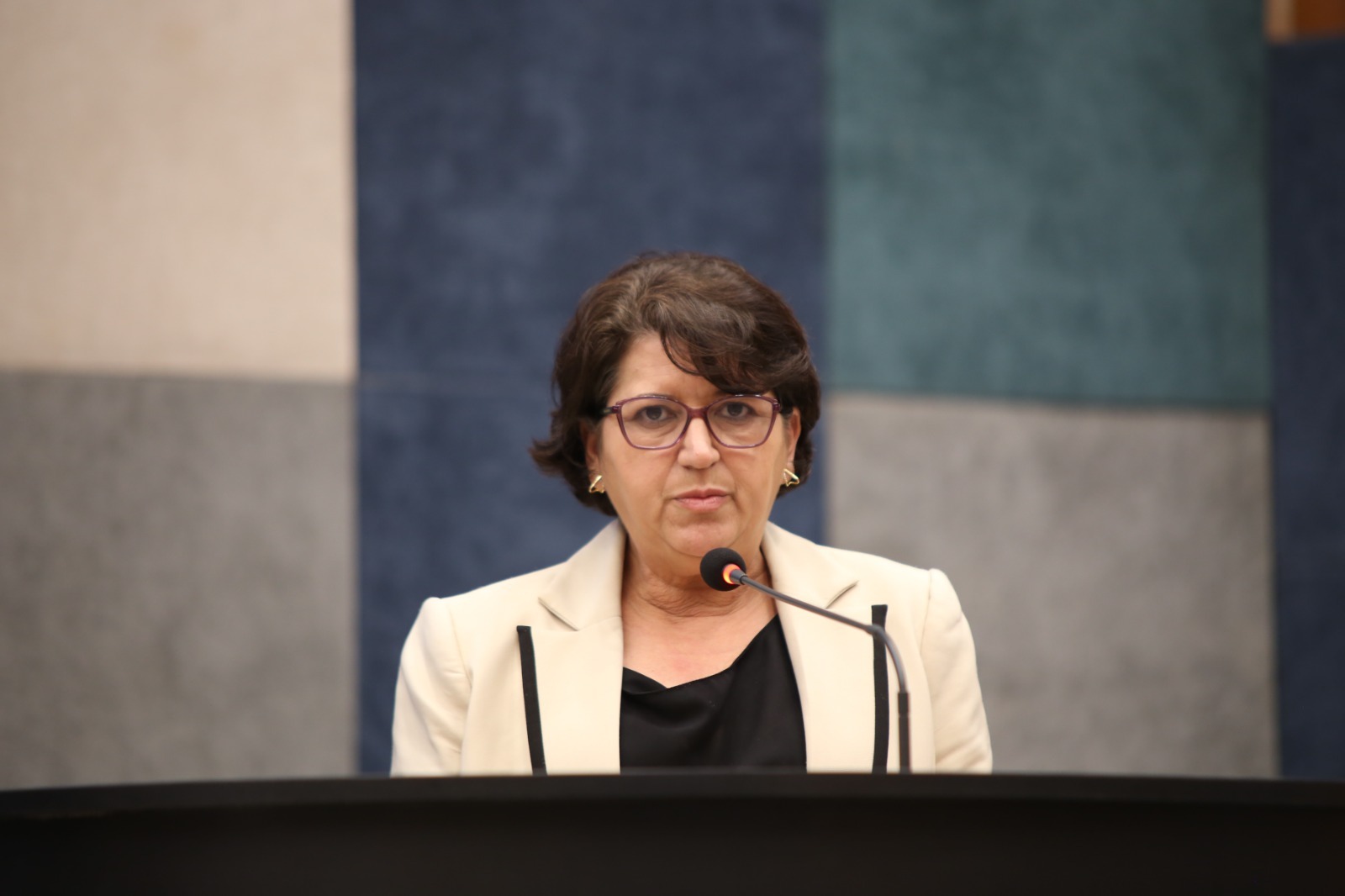 Lenir de Assis defende prioridade na pauta da Câmara para projeto que criminaliza a misoginia